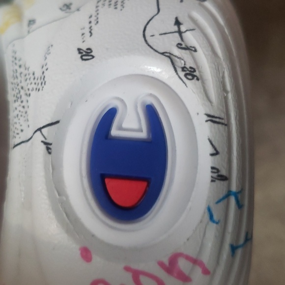 Champion slides - Picture 5 of 12